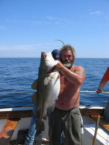 Cod Fish caught out of Rockport MA aboard the Islander