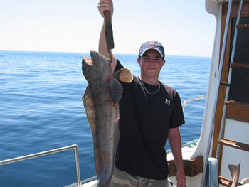 Wolf Fish