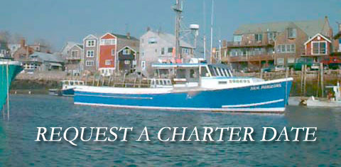 Rockport Fishing Charters