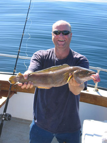 Cusk caught just out side of Rockport Harbor, Massachusetts